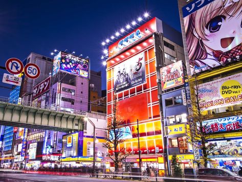 Tokyo's Akihabara district: from electronics to maid cafes ... Akihabara Tokyo, Tokyo Japan Travel, Themed Cafes, Tokyo City, Roppongi, Aesthetic Japan, Camera Shop, Visit Japan, Hayao Miyazaki