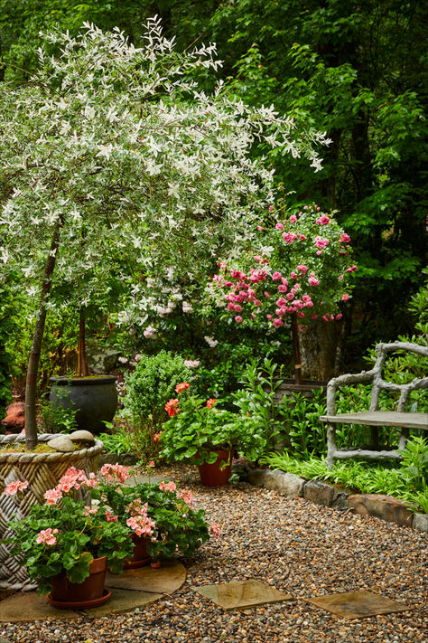 Unlock the secrets of crafting a romantic garden with insights from renowned designer and author, James Farmer! From the timeless allure of his Georgia garden "Farmdale" to the rustic romance of "Joe Pye Cottage" in North Carolina, James shares his top tips for cultivating a garden with the romantic trend adapted to fit our modern times.

Photos by Emily Followill Photographer Cottage Backyard Garden, James Farmer Garden, Small Secret Garden Ideas Backyards, Wild Garden Ideas, Ranch Garden, Garden Potager, Garden Getaway, French Cottage Garden, Georgia Garden