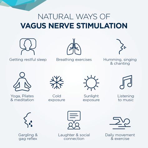 Nerve System, Nervus Vagus, The Vagus Nerve, Calm Yourself, Low Estrogen Symptoms, Nerve Health, Parasympathetic Nervous System, Sciatic Nerve Pain, Autonomic Nervous System