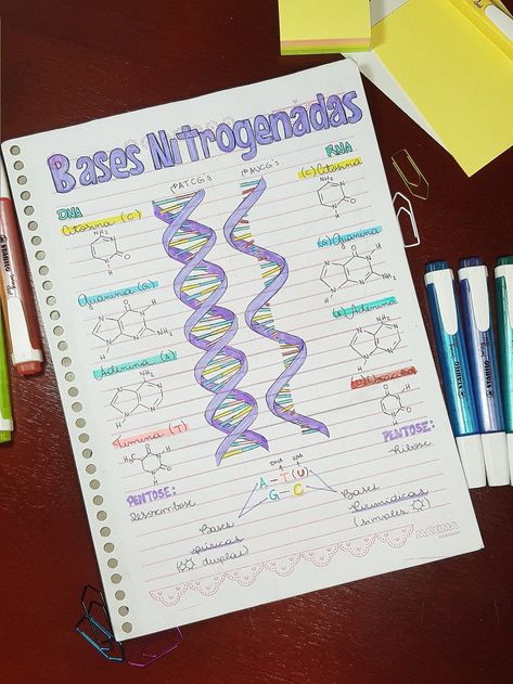 Dna Drawing, Learn Biology, Biology Projects, خريطة ذهنية, Study Chemistry, Study Biology, Basic Anatomy And Physiology, Nurse Study Notes, Biology Facts