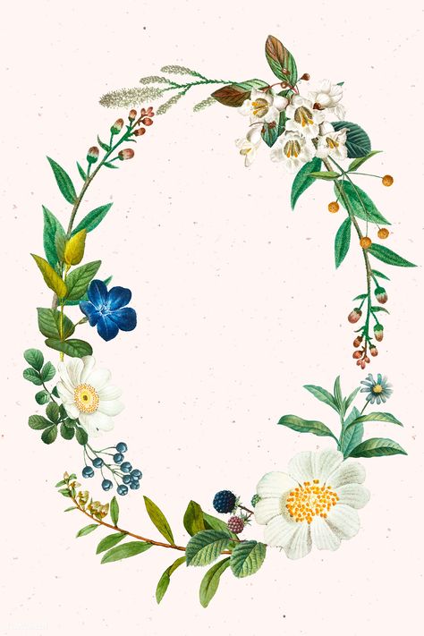 Blooming spring oval wreath vector | premium image by rawpixel.com / sasi #vector #vectorart Flower Wreath Illustration, Oval Wreath, Wreath Vector, Vintage Template, Wreath Illustration, Vintage Wreath, Wreath Drawing, Botanical Illustration Vintage, Baby Shower Invitaciones