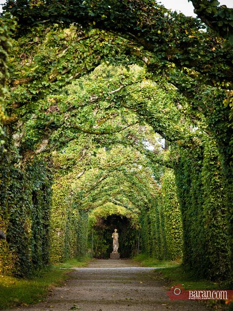 Birr Castle Ireland Birr Castle Ireland, Birr Castle, Medieval Ireland, Ireland Castle, Castle Ireland, Amazing Trees, Dreamy Places, Grand Palace, Estate Garden