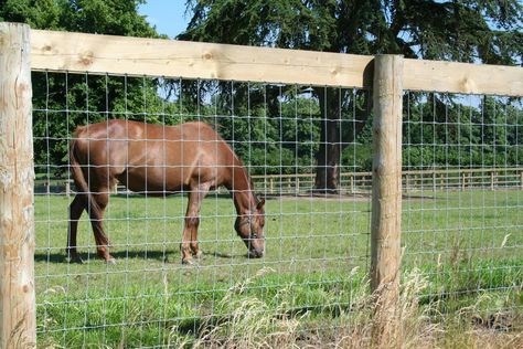 Pasture Fencing, Horse Barn Plans, Horse Fencing, Future Farms, Types Of Fences, Farm Fence, Barn Plans, Fence Landscaping, Modern Fence