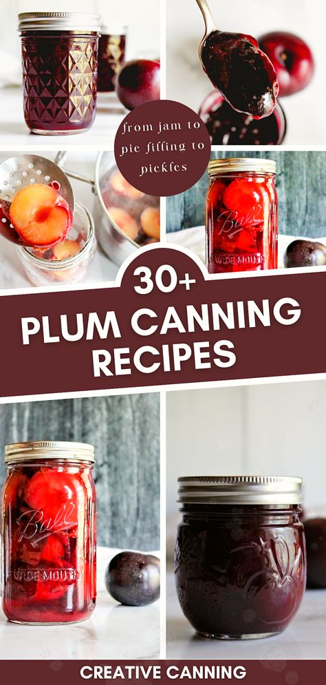 Check out over 30 preserving fruit recipes focused on canning plums. From pickled plums to plum chutney, this collection of plum canning recipes has it all. Learn the ins and outs of how to can plums and experience the joy of having homemade plum treats year-round. Spiced Plums Canning, Plum Chutney Recipe Canning, Plum Conserve Recipe, Black Plum Jam Recipe, Canned Plums What To Do With, Plum Pie Filling Canning, Plum Syrup Recipe For Canning, Canning Recipes For Plums, Preserving Italian Plums