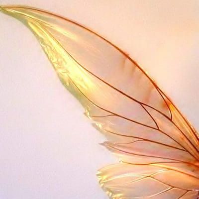 Tinkerbell Fairies Aesthetic, Fairy Wings Aesthetic, Faerie Aesthetic, Dragon Energy, Fire Fairy, Tinkerbell Fairies, Pixie Hollow, Wings Art, Fairy Aesthetic