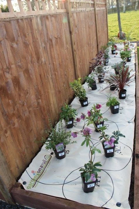 How to plant the perfect border – Gardenonaroll - Gardening | Learning with Experts Plant By Numbers Gardens, Corner Flower Garden, Small Garden Party Ideas, Small Garden Borders, Small Garden Inspiration, Flower Garden Plans, Tattoo Plant, Narrow Garden, Flower Bed Designs