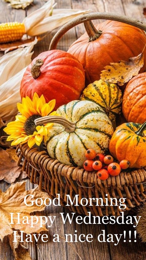 Happy Fall Wednesday, Happy Wednesday Autumn, Fall Wednesday, Weekday Motivation, Hello Images, Wednesday Morning Greetings, Fall Greetings, Wednesday Hump Day, Wednesday Greetings