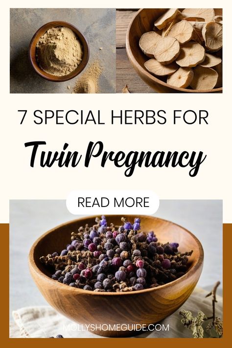 Discover the power of natural alternatives to Clomid with our collection of potent herbs and fertility blends. Explore herbal remedies like seed cycling and fertility tea recipes to boost ovulation naturally. Learn about the benefits of folate for fertility and incorporating Wicca health and fertility rituals into your conception journey. Whether you're looking to conceive twins or seeking holistic solutions for getting pregnant with PCOS, these fertility herbs offer gentle yet effective support Increasing Fertility Naturally, How To Get Twins Naturally, Fertility Tea Trying To Conceive, Fertility Herbs Witchcraft, Foods For Fertility Trying To Conceive, Letrozole Fertility Success, Pregnancy Drinks, Conceive Twins, Foods For Fertility