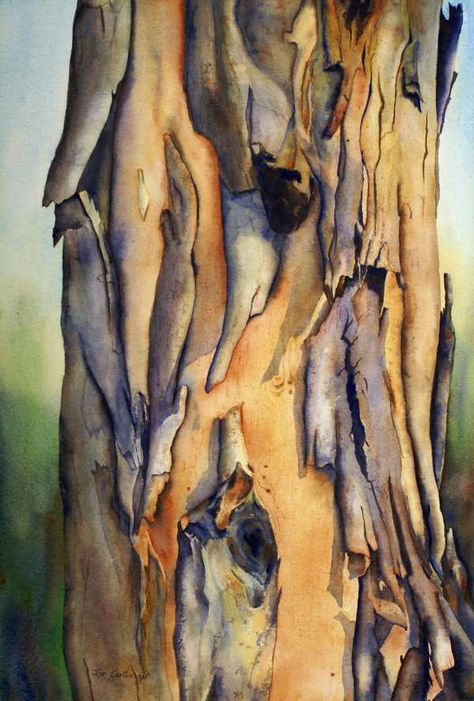 Peeling Bark Australian Gum Tree by Joe Cartwright, Australian Artist, miscellaneous painting group. Tree Bark Painting, Bark Painting, Gum Trees, Tree Watercolor Painting, Gum Tree, Water Color Pencil, Tree Watercolor, Watercolor Tree, Watercolour Inspiration