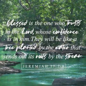 Jesus our Living Water. Trust in the Lord. Bear fruit for the Lord. Tree planted by the water. Living water scripture kjv. Jeremiah 17:7-8 Water Scripture, Living Water Scripture, Spring Favorites, Christian Podcasts, Faith Church, Powerful Bible Verses, Bible Pictures, Peace Of God, Trust In The Lord