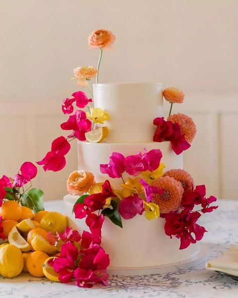 Dreaming of bright colored blooms and ocean views 😍 Vibrant Wedding Cake, Reception Florals, Vibrant Wedding, Cake Flowers, Wedding Cake Inspiration, Floral Inspiration, Floral Designer, Bright Colored, Ocean Views