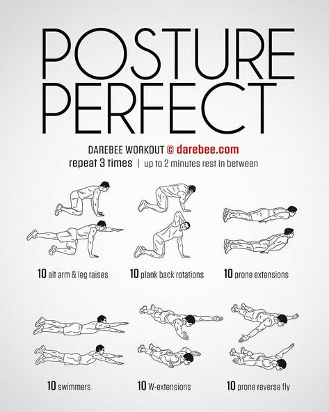 DAREBEE - Fitness Made Easy on Instagram: “Posture Perfect Workout #darebee #fitness #workout” Perfect Posture, Perfect Workout, Leg Raises, Burn Fat Faster, Living A Healthy Life, Burpees, How To Run Faster, Beast Mode, Weights Workout