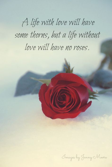 Quotes For Rose Day For Him, Can I Call You Rose, Red Roses Quotes Beauty, Roses Quotes Inspirational, Rose Day Quotes For Him, Rose Quotes Poetry, Happy Rose Day My Love, Quotes About Roses, Rose Love Quotes