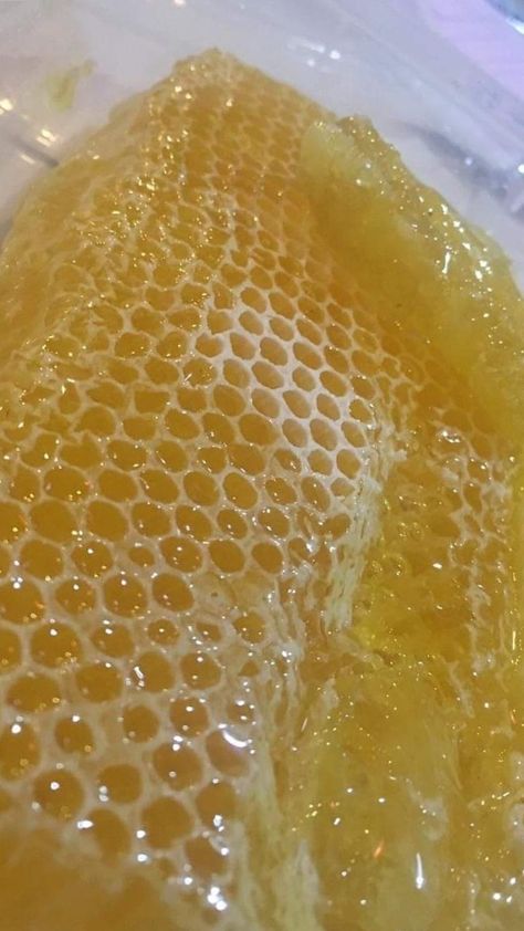 Aesthetic Honey, Honey Aesthetic, Eating Food Funny, Food Tool, Honey Diy, Honey Dew, Makanan Diet, Bee Honey, Milk Honey