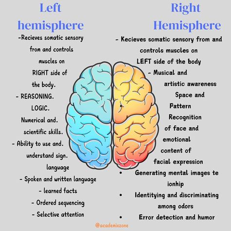 Read Caption ⬇️ . . “The brain is a masterpiece divided into two sides – the logical left hemisphere, handling reasoning, language, and facts, and the creative right hemisphere, thriving on imagination, intuition, and artistry. Balance both for a life of innovation and wisdom. 🧠✨ Which side do you feel more connected to? #LeftBrain #RightBrain” . . . Follow ✅ for more @academixzone . . . . #BrainPower #Neuroscience #CreativityVsLogic #MindsetMatters #GrowthMindset #SelfAwareness #instagram ... Left Brain And Right Brain, Left And Right Hemisphere Of Brain, Triune Brain, Left Right Brain, Neuro Science, Brain Hemispheres, Psych Student, Brain Anatomy And Function, Psychology Notes