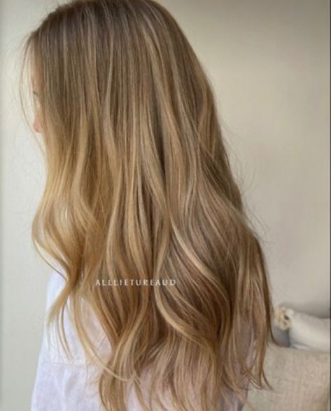 Baby Lights On Blonde Hair, Natural Highlights For Blonde Hair, Baby Highlights On Dirty Blonde Hair, Golden Blonde Brown Hair, Highlights For Dirty Blonde Hair Natural, Natural Blonde Highlights On Light Brown Hair, Natural Blonde Hair Balayage, Natural Blonde Babylights, Natural Warm Blonde Hair