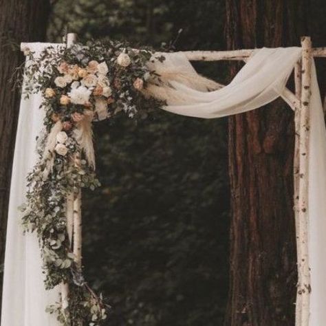 Birch Wedding Arch, Piedmont Community Hall, Wood Wedding Arches, Redwoods National Park, Birch Tree Wedding, Community Hall, Marin Headlands, Birch Wedding, Rural Wedding