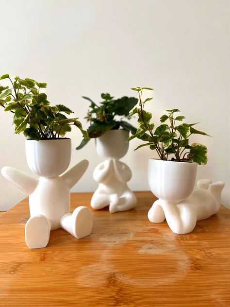 3d Tiskárna, Desk Planter, Planter Indoor, Engagement Party Gifts, Pottery Crafts, Succulent Pots, Small Plants, Succulent Planter, Ceramic Planters