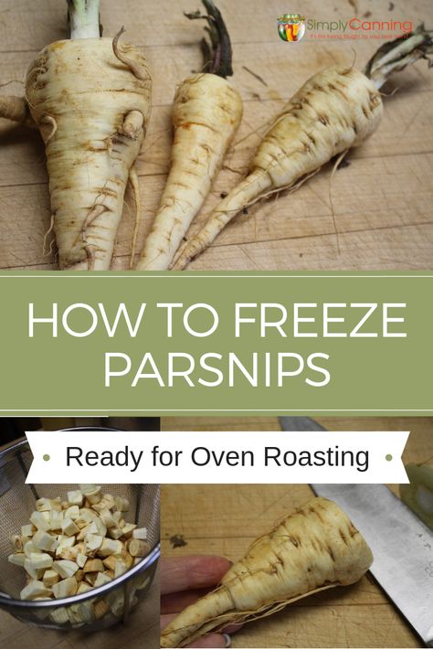 Canning Parsnips, Freezing Parsnips, Garden Preservation, Misfit Market, Roasting Recipes, Freeze Vegetables, Freezing Veggies, Mashed Parsnips, Parsnip Recipes