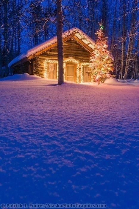 Cabin at night in the snow ~ Alaska Christmas Cabin In The Woods, Cabin Christmas, Winter Cabin, Winter Scenery, Winter Beauty, A Log, Cabins And Cottages, Snow Scenes, Cabin Life