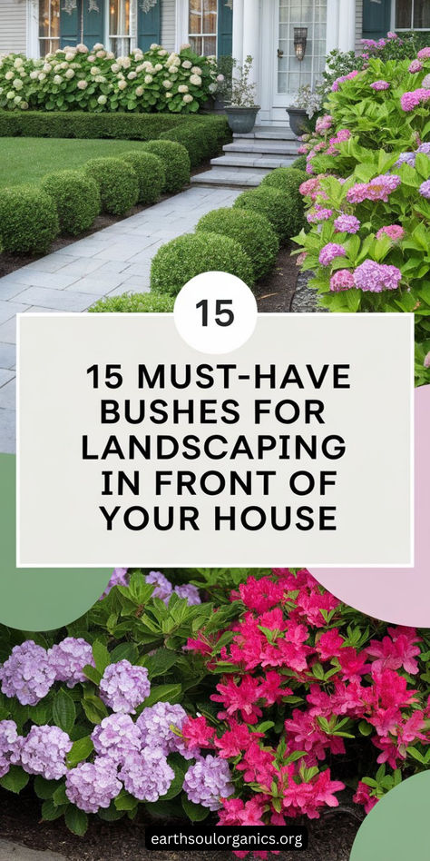 Discover the perfect bushes to beautify the front of your house. These 15 versatile options bring elegance and charm to your landscaping. Perfect for boosting curb appeal! 🌷 #GardeningTips #FrontYardDesign Landscape For White House, Ranch Front Landscaping Ideas, Front Of House Landscape Ideas Hydrangea, Front Yard Landscaping New York, Stunning Front Yard Landscaping, Simple Front Landscaping, Front Yard Island Landscaping, Curb Appeal Before And After, Front Yard Flower Beds Against The House