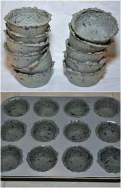 DIY Shredded Paper Seed Starters Diy Shredded Paper, Seed Starters, Indoor Vegetables, Aquaponics Diy, Seed Pots, Paper Pot, Indoor Vegetable Gardening, Seed Starter, Paper Craft Ideas