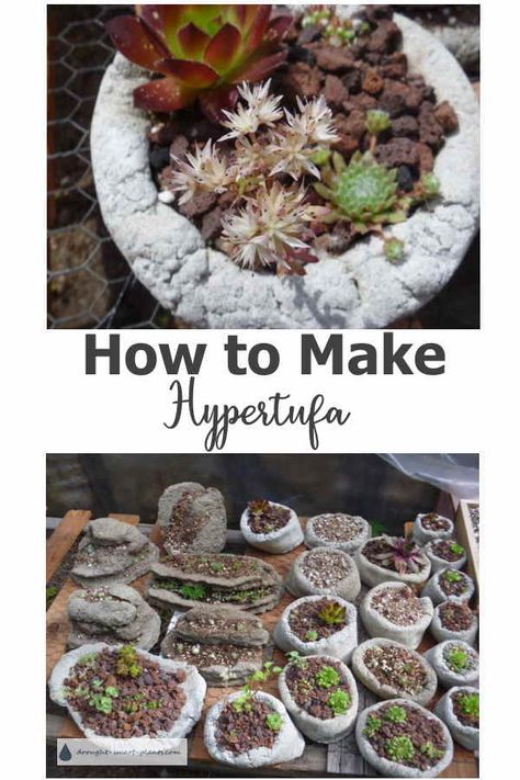 Hypertufa Succulent Planter, Cement Succulent Planter Diy, Hypertufa Recipe, How To Make Lava, Hypertufa Pots, Hypertufa Projects, Hypertufa Planters, Cat Stand, Cement Projects