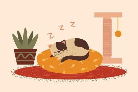 Cat Sleeping Drawing, Sleeping Cat Illustration, Cute Cat Sleeping, Sleeping Drawing, Pillow Drawing, Cat Lounge, Cat Background, Sun Illustration, Animal Icon