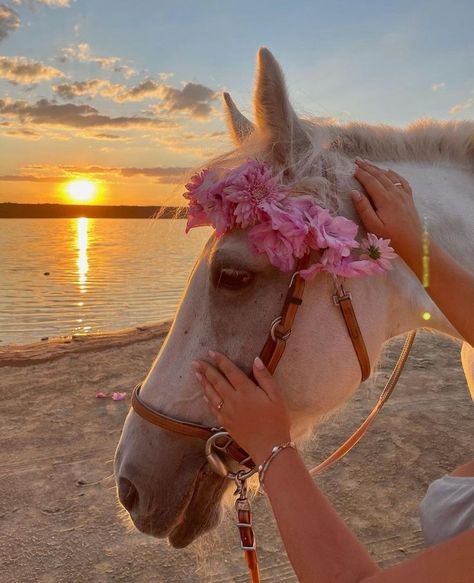 Photobooth Photoshoot, Horse Friends, Photoshoot Sunset, Horsey Life, Horse Riding Aesthetic, Cute Horse Pictures, Cowboy Baby, Horse Wallpaper, Horse Aesthetic