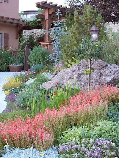 How to Xeriscape Xeriscape Front Yard, Drought Resistant Plants, Drought Tolerant Garden, Drought Tolerant Landscape, Yard Landscape, Inspire Me Home Decor, Water Wise, Drought Tolerant Plants, Budget Backyard