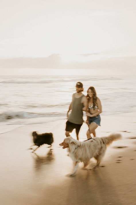 Dog With Couple, Couples With Dog, Two Dogs Together, Maternity Photos With Dog, Couples With Dogs, Coastal Photoshoot, Family With Dogs, Pregnant Beach, Family With Dog