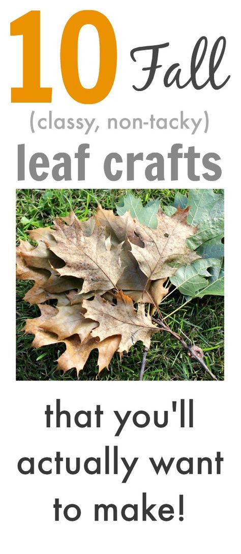 Fall leaf crafts that you'll actually want to make and display in your home! These aren't your kindergartner's leaf crafts! Fall Leaf Crafts, Fall Traditions, Indoor Fall Decor, Fall Crafting, Autumn Leaves Craft, Leaf Projects, Crafts Fall, Leaf Crafts, Autumn Crafts