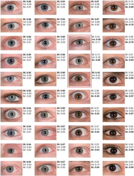 40 different eye colors, only the three colors in the red box couldn't be determined by IrisPlex DNA-based eye color detection system. Eye Color Chart Genetics, Eye Color Facts, Eye Color Chart, Blue Eye Color, Eye Chart, Eye Makeup Pictures, Face Reference, Gray Eyes, Human Eye