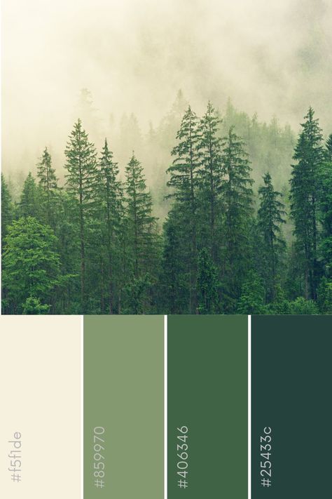 Forest Room Color Palette, Forest Green Palette Color, Forest Colour Pallete, Forest Colours Palette, Green Forest Palette, Pine Forest Color Palette, Forest Nursery Color Palette, Cabincore Color Palette, Forest Green Palette Colour Schemes