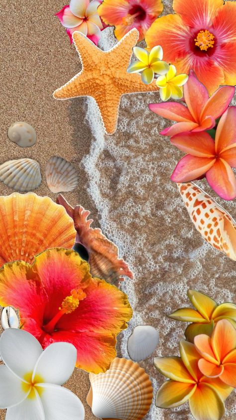 🏵️orange beachy wallpaper!!🤍🧡💛 #myfirstshuffle #nature #hawaii #orange #coconutgirl #beach #beachgirl #wallpaper #summer #beachaesthetic #hawaiiansummer #hibiscus #plumeria #shore #sand #aesthetic #beachcore #cute #pretty #flower #seashell Sand Aesthetic, Beachy Wallpaper, Wallpaper Summer, Pretty Flower, Hibiscus, Hawaii, Orange, Nature