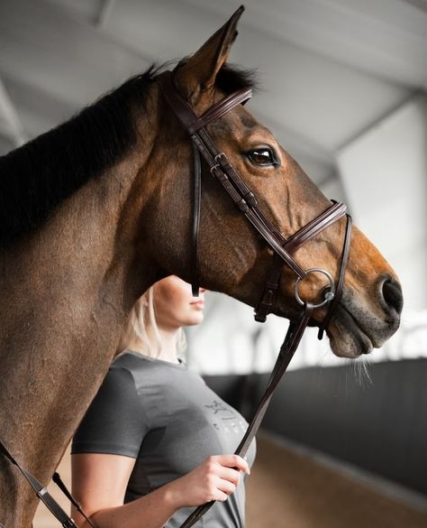 aztec diamond Aesthetic Equestrian Photos, Aztec Horse, Aztec Diamond Equestrian, Horses Winter Aesthetic, Spotted Horse Aesthetic, Equestrian Aesthetic, Equestrian Outfits, Horse Pictures, Horse Riding