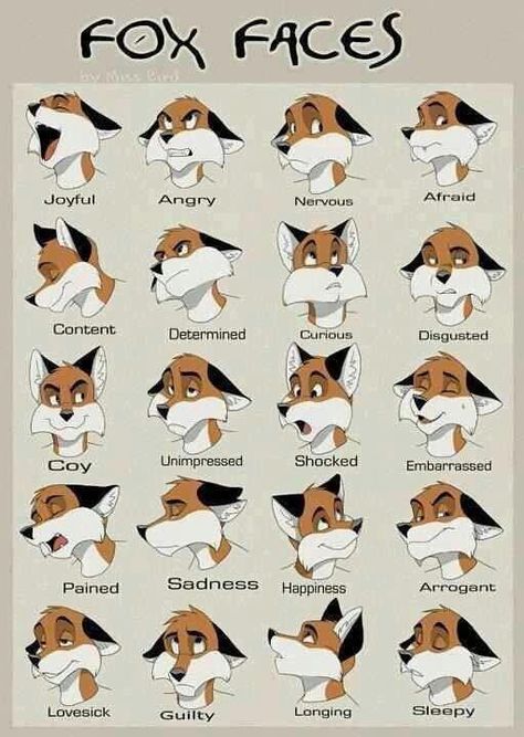 Just awesome Anthro Expressions, Fox Expressions Drawing, Fox Fursona Base, Fox Anatomy Reference, Fox Fursona Reference Sheet, Wolf Expressions Character Design, Fox Drawing Refrences, Fox Fursona, Facial Expressions Drawing