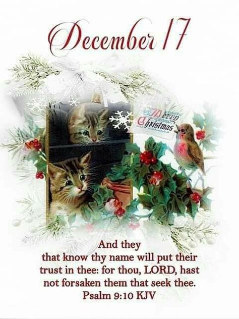 ~Amen~17 December 2020👼 December 17th Blessings, December Prayers, Christmas Creatives, December Blessings, Psalm 9 10, Birthday Wishes For A Friend Messages, December Scriptures, New Month Wishes, Advent Prayers