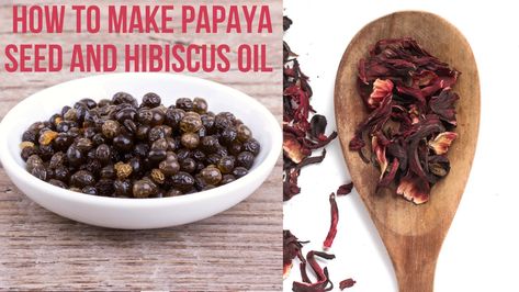 Grow stronger, longer, shiny hair with this amazing hair oil. Oil For Healthy Hair, Hibiscus Oil, Papaya Oil, Healthy Hair And Skin, Oil Infusion, Seeds Benefits, Papaya Seeds, Make It Monday, For Healthy Hair