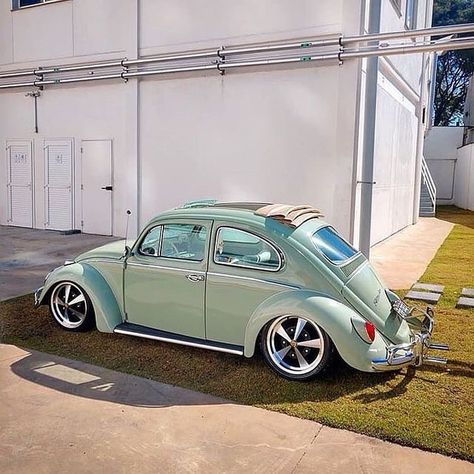 Quiero un vocho on Instagram: “#vocho  #clasico #(o\_!_/o)  ‪#quierounvocho #combi #safari #karmannghia #volkswagen #clasico #dunebuggy #buggy #beetle #vwbeetle #outlaw…” Vw Bug Slammed, Car Beetle, Volkswagen 1600, Beetle Volkswagen, Volkswagen Beetle Vintage, Vw Super Beetle, Volkswagen Aircooled, Sandakan, Vw Sedan