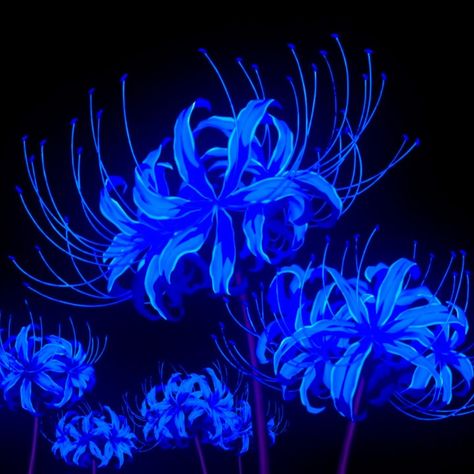 In The Dark, Blue Flowers, Flowers, Blue