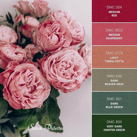 Color Palette Pink Dusty Rose, Desert Rose Palette, Red Rose Color Palette, Embroidery Thread Color Palette, Dmc Pink Color Palette Code, Terra Cotta, Valentine Embroidery, Raspberry Color, Green Wedding Colors