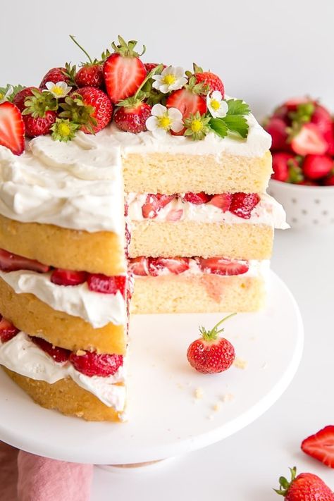 Angled cross section of a strawberry shortcake cake showing the layers. Slice Of Cake Aesthetic, Cake Slice Aesthetic, Strawberry Shortcake Slice, Strawberry Cake Slice, Cake On A Plate, Mousse Au Chocolat Torte, Cake With Strawberries, Slice Cake, Shortcake Cake