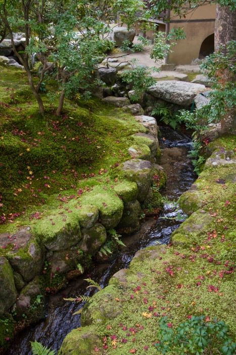 Garden Ponds Ideas, Ponds Ideas, Backyard Stream, Garden Stream, Nara Park, Garden Ponds, Rock Landscaping Ideas, Courtyard Gardens Design, Rock Landscaping