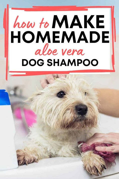 Homemade dog shampoo that's soothing for a dog's skin. All natural and great for a dog's skin. #homemade dog shampoo, #dog shampoo Dog Shampoo Recipe, Diy Dog Shampoo, Homemade Dog Shampoo, Best Dog Shampoo, Dog Skin Care, Natural Dog Shampoo, Puppy Shampoo, Dog Soap, Natural Pet Care