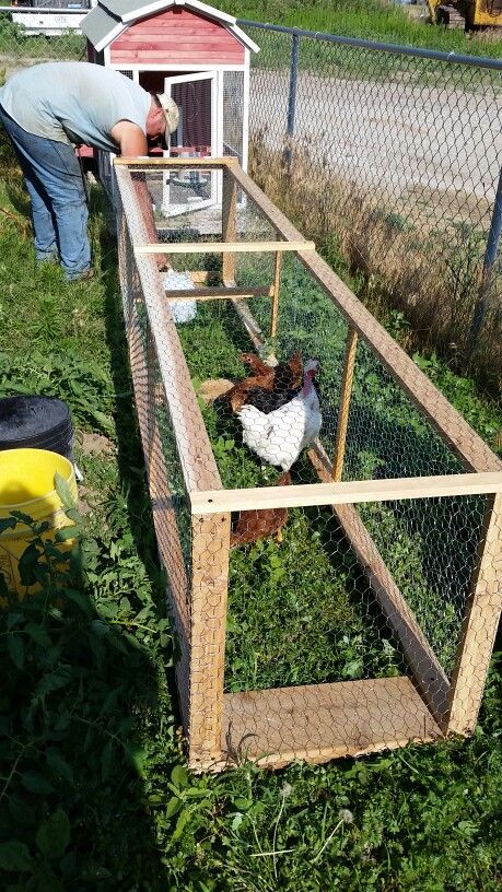 Our chicken run Triangle Chicken Run, Extend Chicken Run, Chicken Run Sand, Chicken Run With Hardware Cloth, Extra Large Chicken Run, Smart Farm, Chicken Cages, Hen House, Building A Chicken Coop