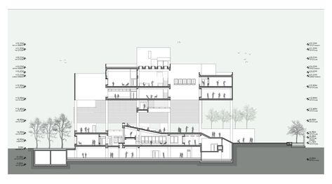 Architecture Section Drawing, Architecture Dimensions, Section Architecture, Architecture Sections, Institutional Architecture, Section Drawing Architecture, Elevation Architecture, Architecture Section, Architecture Drawing Presentation