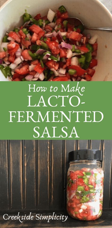 Lacto Fermented Salsa, Fermented Salsa Recipe, Lactofermentation Recipes, Kombucha Brewery, Fermented Salsa, Cultured Vegetables, Fermented Recipes, Fermented Vegetables Recipes, Lacto Fermented