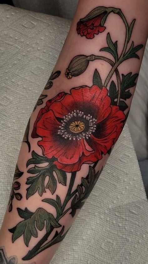 Neo Traditional Poppy, Poppy Tattoo Sleeve, Traditional Poppy Tattoo, Poppy Tattoo Meaning, Anemone Tattoo, Red Poppy Tattoo, Poppy Flower Tattoo, Poppy Tattoo, Traditional Tattoo Flowers