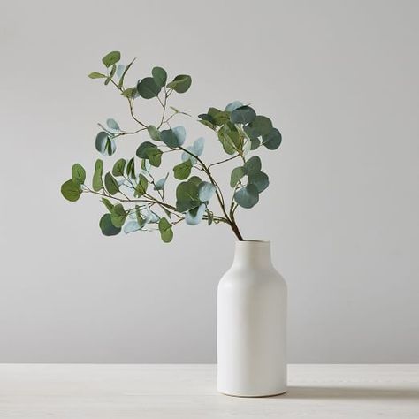 Plant On White Background, West Elm Faux Plants, Eucalyptus Plant Aesthetic, Lego Vase, Greed Aesthetic, Minimalist Vase Flower, Ceramic Vase Eucalyptus, Minimal Dining, Dollar Eucalyptus